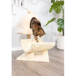 Armarkat 31-in Cat Scratching Post & Condo Cat Tree, Goldenrod 14 Armarkat 31-in Cat Scratching Post & Condo Cat Tree, Goldenrod -Almo nature Sales 219012 PT3. AC SS1800 V1603333015