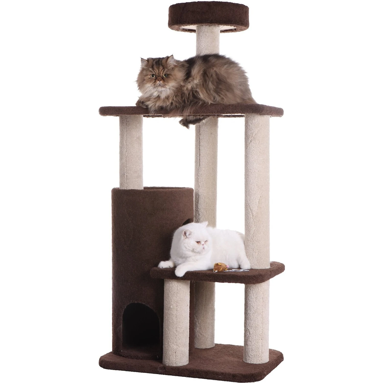 Armarkat 56-in Carpeted Condo Cat Tree, Brown 8 Armarkat 56-in Carpeted Condo Cat Tree, Brown - Image 6