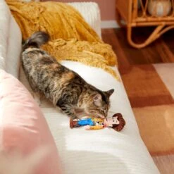 Pixar Woody Plush Kicker Cat Toy With Catnip -Almo nature Sales 221063 PT2. AC SS1800 V1612366276