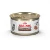 Royal Canin Veterinary Diet Kitten Gastrointestinal Ultra Soft Mousse In Sauce Canned Cat Food -Almo nature Sales 228177 MAIN. AC SS1800 V1691438907