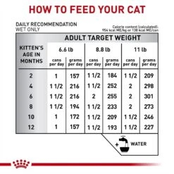 Royal Canin Veterinary Diet Kitten Gastrointestinal Ultra Soft Mousse In Sauce Canned Cat Food -Almo nature Sales 228177 PT6. AC SS1800 V1691438213