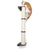 CatastrophiCreations Sisal Cat Climbing Pole