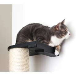 CatastrophiCreations Sisal Cat Climbing Pole -Almo nature Sales 229621 PT2. AC SS1800 V1645488542