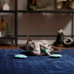 Frisco Snowflake Plush Cat Toy With Catnip, 3 Count -Almo nature Sales 233285 PT3. AC SS1800 V1661874178