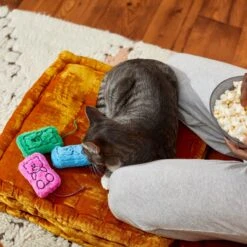 Frisco Zoomies & Chill Gummy Bear Plush Cat Toy With Catnip -Almo nature Sales 241715 PT6. AC SS1800 V1610768413