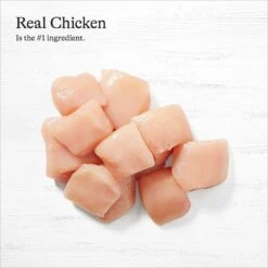 American Journey Kitten Pate Chicken Recipe Grain-Free Canned Cat Food, 3-oz, Case Of 24 -Almo nature Sales 242872 PT4. AC SS1800 V1689951309