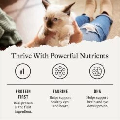 American Journey Kitten Minced Chicken Recipe in Gravy Grain-Free Canned Cat Food, 3-oz, Case Of 24 -Almo nature Sales 242874 PT5. AC SS1800 V1689951401