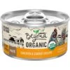 Purina Beyond High Protein Organic Chicken & Carrot Recipe Wet Cat Food, 3-oz Can, Case Of 12 -Almo nature Sales 252852 MAIN. AC SS1800 V1700159359