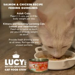 Lucy Pet Products Kettle Creations Salmon & Chicken Recipe In Gravy Wet Cat Food, 2.47-oz Can, Case Of 12 14 Lucy Pet Products Kettle Creations Salmon & Chicken Recipe In Gravy Wet Cat Food, 2.47-oz Can, Case Of 12 -Almo nature Sales 263496 PT5. AC SS1800 V1607439504