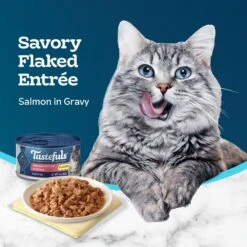 Blue Buffalo Tastefuls Salmon Entrée In Gravy Flaked Wet Cat Food, 3-oz Can, Case Of 24 -Almo nature Sales 264531 PT3. AC SS1800 V1630736821