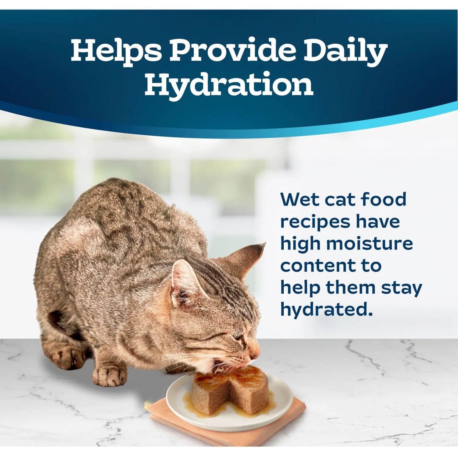 Blue Buffalo Tastefuls Chicken Entrée Mature Cats Pate Wet Cat Food, 3-oz Can, Case Of 24 9 Blue Buffalo Tastefuls Chicken Entrée Mature Cats Pate Wet Cat Food, 3-oz Can, Case Of 24 - Image 7