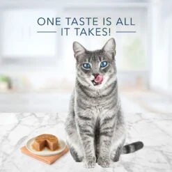 Blue Buffalo Tastefuls Chicken Entrée Pate Wet Cat Food 12 Blue Buffalo Tastefuls Chicken Entrée Pate Wet Cat Food -Almo nature Sales 264540 PT2. AC SS1800 V1630731368