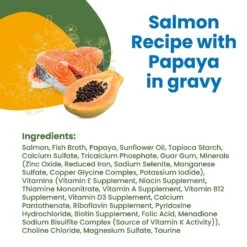 Almo Nature HQS Complete Salmon With Papaya Wet Cat Food, 2.47-oz Can, Case Of 12 -Almo nature Sales 264828 PT4. AC SS1800 V1632848808