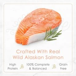 Fancy Feast Petites Pate Wild Alaskan Salmon Entree Wet Cat Food -Almo nature Sales 265552 PT3. AC SS1800 V1663605108