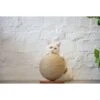 ZEZE Woven Rope Ball Cat Scratcher -Almo nature Sales 266577 MAIN. AC SS1800 V1668900036