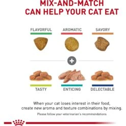 Royal Canin Veterinary Diet Adult Renal Support E Loaf In Sauce Canned Cat Food -Almo nature Sales 270967 PT3. AC SS1800 V1701881049