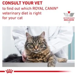 Royal Canin Veterinary Diet Adult Renal Support E Loaf In Sauce Canned Cat Food -Almo nature Sales 270967 PT7. AC SS1800 V1701882008
