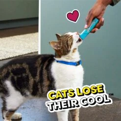 Temptations Creamy Puree With Tuna Lickable Cat Treats, 0.425-oz Pouch 19 Temptations Creamy Puree With Tuna Lickable Cat Treats, 0.425-oz Pouch -Almo nature Sales 271494 PT8. AC SS1800 V1703798040