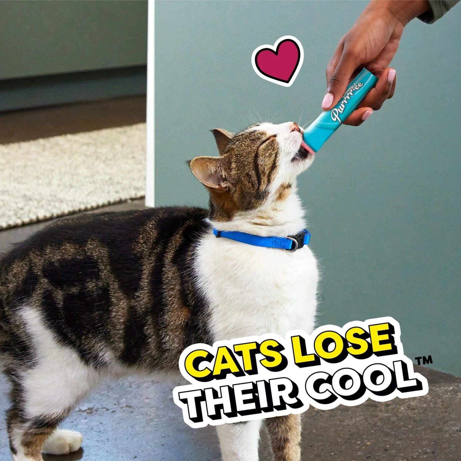 Temptations Creamy Puree With Tuna Lickable Cat Treats, 0.425-oz Pouch 11 Temptations Creamy Puree With Tuna Lickable Cat Treats, 0.425-oz Pouch - Image 9