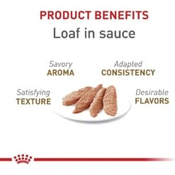 Royal Canin Feline Health Nutrition Aging 12+ Loaf In Sauce Canned Cat Food -Almo nature Sales 272682 PT2. AC SS1800 V1697733666