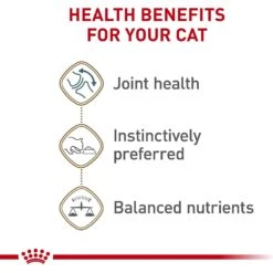 Royal Canin Feline Health Nutrition Aging 12+ Loaf In Sauce Canned Cat Food -Almo nature Sales 272682 PT3. AC SS1800 V1697759567