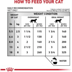 Royal Canin Veterinary Diet Adult Renal Support Early Consult Loaf In Sauce Canned Cat Food 16 Royal Canin Veterinary Diet Adult Renal Support Early Consult Loaf In Sauce Canned Cat Food -Almo nature Sales 278913 PT5. AC SS1800 V1701882070