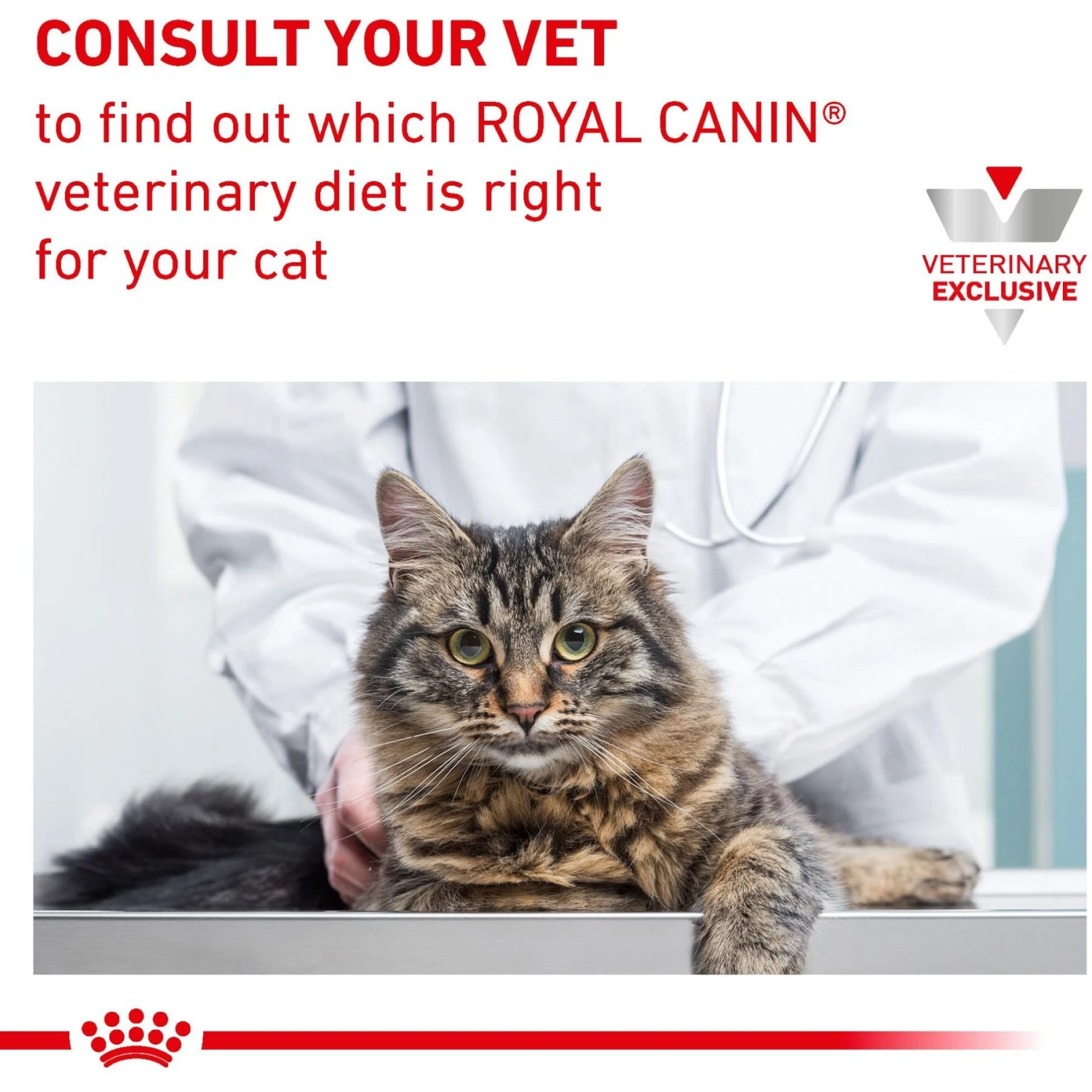 Royal Canin Veterinary Diet Adult Renal Support Early Consult Loaf In Sauce Canned Cat Food 11 Royal Canin Veterinary Diet Adult Renal Support Early Consult Loaf In Sauce Canned Cat Food - Image 9