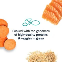 CANIDAE Balanced Bowl Salmon & Sweet Potato Recipe In Gravy Wet Cat Food, 3-oz Can, Case Of 24 -Almo nature Sales 279825 PT4. AC SS1800 V1615426052