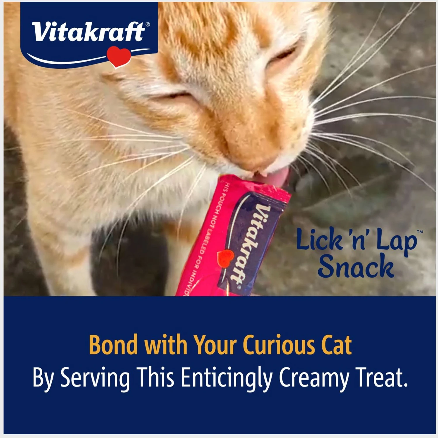 Vitakraft Lick 'n' Lap Creamy Salmon Low Calorie Interactive Wet Cat Treat, 0.42-oz Tube, Case Of 20 10 Vitakraft Lick 'n' Lap Creamy Salmon Low Calorie Interactive Wet Cat Treat, 0.42-oz Tube, Case Of 20 - Image 8