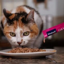 Vitakraft Lick 'n' Lap Creamy Salmon Low Calorie Interactive Wet Cat Treat, 0.42-oz Tube, Case Of 20 19 Vitakraft Lick 'n' Lap Creamy Salmon Low Calorie Interactive Wet Cat Treat, 0.42-oz Tube, Case Of 20 -Almo nature Sales 282785 PT8. AC SS1800 V1666651316