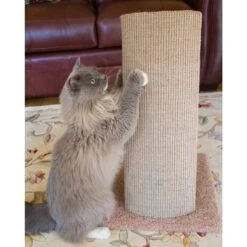 Royal Cat Boutique V-Pad 30-in Sisal Cat Scratching Post -Almo nature Sales 284997 PT7. AC SS1800 V1618954320