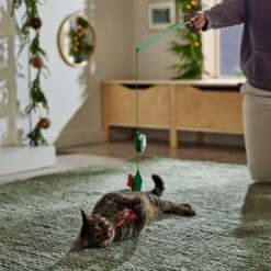 Frisco Winter Flowers Teaser Cat Toy With Catnip -Almo nature Sales 287275 PT3. AC SS1800 V1661874373