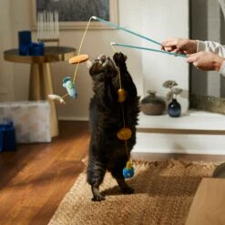 Frisco Holiday Hanukkah Teaser Cat Toy With Catnip, 2 Count 9 Frisco Holiday Hanukkah Teaser Cat Toy With Catnip, 2 Count -Almo nature Sales 287277 PT3. AC SS1800 V1632771712