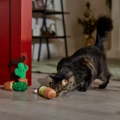Frisco Holiday Cactus Plush Cat Toy With Catnip, 3 Count -Almo nature Sales 287329 PT3. AC SS1800 V1661874421