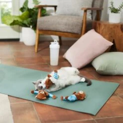 Frisco New Year, New Me Namaste Bear Plush Cat Toy With Catnip -Almo nature Sales 288947 PT3. AC SS1800 V1638289414