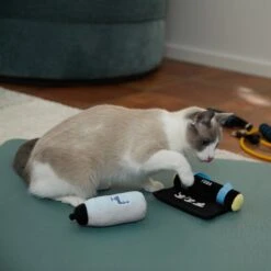 Frisco Yoga Mat & Water Bottle Plush Cat Toy With Catnip, 2 Count -Almo nature Sales 288955 PT3. AC SS1800 V1638289648