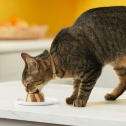 Meow Mix Tasty Layers Variety Pack Swirled Paté Cat Food, 2.75-oz Can, Case Of 12 16 Meow Mix Tasty Layers Variety Pack Swirled Paté Cat Food, 2.75-oz Can, Case Of 12 -Almo nature Sales 292092 PT5. AC SS1800 V1670940401