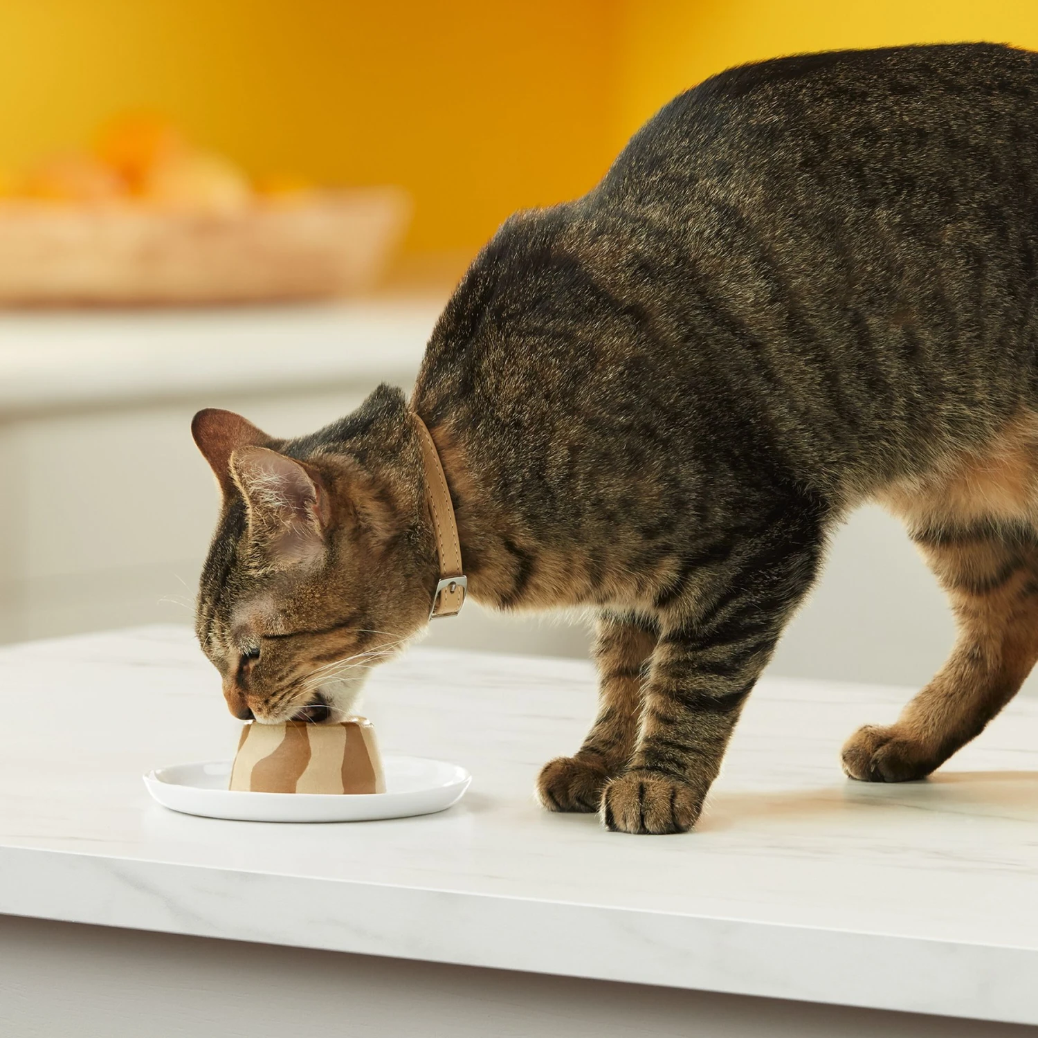 Meow Mix Tasty Layers Chicken & Turkey Recipe Stuffed With Real Chicken Swirled Paté Cat Food, 2.75-oz Can, Case Of 12 8 Meow Mix Tasty Layers Chicken & Turkey Recipe Stuffed With Real Chicken Swirled Paté Cat Food, 2.75-oz Can, Case Of 12 - Image 6