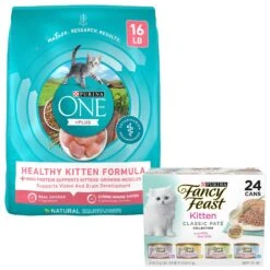 Purina ONE +Plus Healthy Kitten Formula Natural Dry Cat Food & Fancy Feast Tender Feast Variety Pack Canned Kitten Food