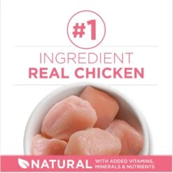 Purina ONE +Plus Healthy Kitten Formula Natural Dry Cat Food & Fancy Feast Tender Feast Variety Pack Canned Kitten Food -Almo nature Sales 293522 PT8. AC SS1800 V1679927722