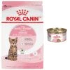Royal Canin Feline Health Nutrition Kitten Spayed/Neutered Dry Cat Food & Royal Canin Feline Health Nutrition Thin Slices In Gravy Wet Kitten Food
