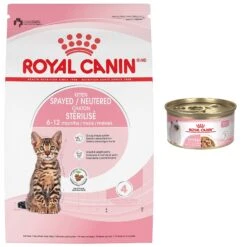 Royal Canin Feline Health Nutrition Kitten Spayed/Neutered Dry Cat Food & Royal Canin Feline Health Nutrition Thin Slices In Gravy Wet Kitten Food