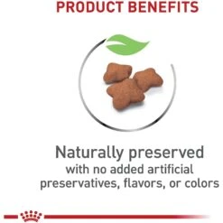 Royal Canin Feline Health Nutrition Kitten Spayed/Neutered Dry Cat Food & Royal Canin Feline Health Nutrition Thin Slices In Gravy Wet Kitten Food -Almo nature Sales 293766 PT8. AC SS1800 V1678973972