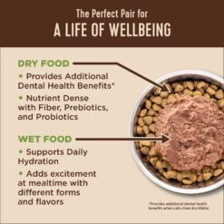 Wellness Complete Health Kitten Chicken Entree Recipe Natural Canned Cat Food & Wellness CORE Natural Grain-Free Turkey & Chicken Liver Pate Canned Kitten Food -Almo nature Sales 294276 PT7. AC SS1800 V1621984103