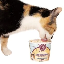 Pet Winery Pet Creamery Screaming Bonito Cat Lickable Treat, 2.64-oz Container 11 Pet Winery Pet Creamery Screaming Bonito Cat Lickable Treat, 2.64-oz Container -Almo nature Sales 296940 PT4. AC SS1800 V1620752547