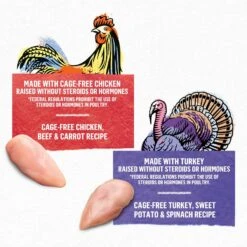 Purina Beyond Chicken & Turkey Variety Pack Wet Cat Food, 3-oz Can, Case Of 12 -Almo nature Sales 297540 PT2. AC SS1800 V1699369644