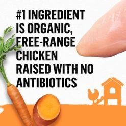 Purina Beyond Organic Chicken Variety Pack Pate Wet Cat Food, 3-oz Can, Case Of 6 15 Purina Beyond Organic Chicken Variety Pack Pate Wet Cat Food, 3-oz Can, Case Of 6 -Almo nature Sales 297542 PT4. AC SS1800 V1700161837