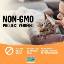 Purina Beyond Organic Chicken Variety Pack Pate Wet Cat Food, 3-oz Can, Case Of 6 18 Purina Beyond Organic Chicken Variety Pack Pate Wet Cat Food, 3-oz Can, Case Of 6 -Almo nature Sales 297542 PT7. AC SS1800 V1700161787