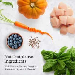 American Journey Kitten Chicken Recipe Grain-Free Dry Cat Food, 5-lb Bag & American Journey Kitten Minced Chicken Recipe in Gravy Grain-Free Canned Cat Food, 3-oz, Case Of 24 19 American Journey Kitten Chicken Recipe Grain-Free Dry Cat Food, 5-lb Bag & American Journey Kitten Minced Chicken Recipe in Gravy Grain-Free Canned Cat Food, 3-oz, Case Of 24 -Almo nature Sales 297740 PT8. AC SS1800 V1694612912