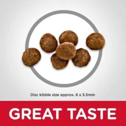 Hill's Science Diet Kitten Healthy Cuisine Tender Chicken & Rice Medley Canned Cat Food & Hill's Science Diet Indoor Kitten Dry Cat Food 15 Hill's Science Diet Kitten Healthy Cuisine Tender Chicken & Rice Medley Canned Cat Food & Hill's Science Diet Indoor Kitten Dry Cat Food -Almo nature Sales 298098 PT6. AC SS1800 V1621287765